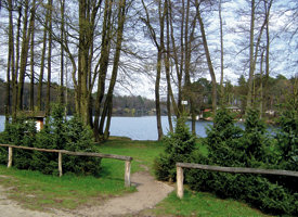 am Elsensee